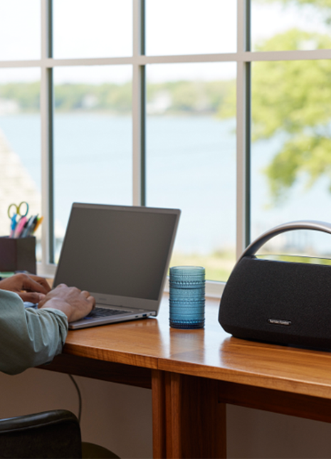 Harman Kardon Go + Play 3