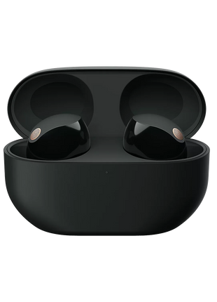 Sony WF-1000XM5 Wireless Bluetooth Noise Canceling Earbuds Headphones with Alexa , Negro